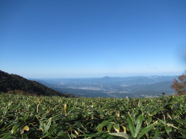 登山道